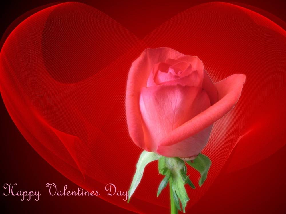 (Love&Valentine)3D-Wallpapers-Backgroundsภาพพื้นหลัง พักหน้าจอ No.3