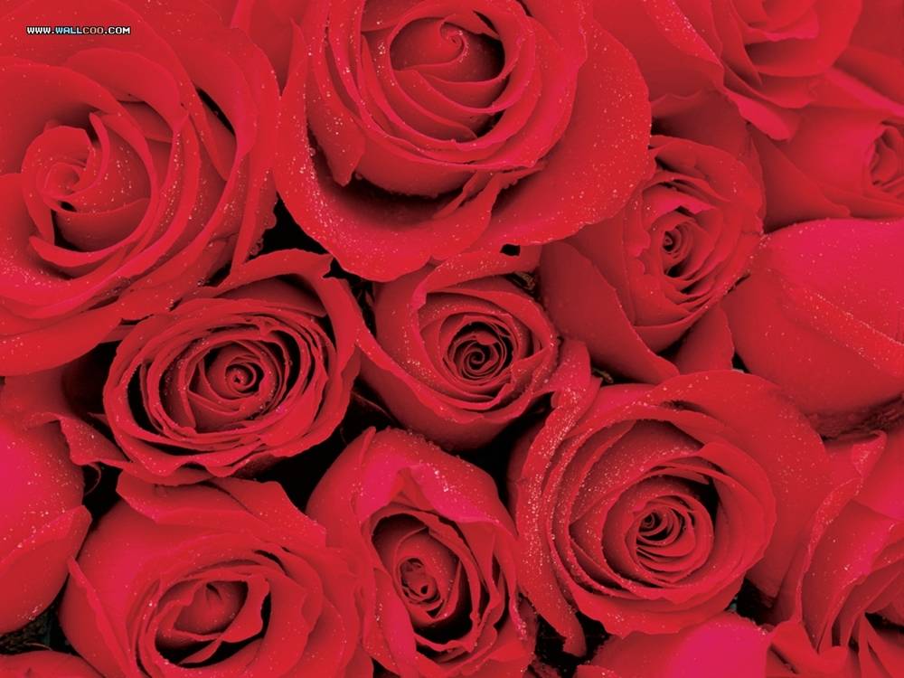 (Love&Valentine)3D-Wallpapers-Backgroundsภาพพื้นหลัง พักหน้าจอ No.7