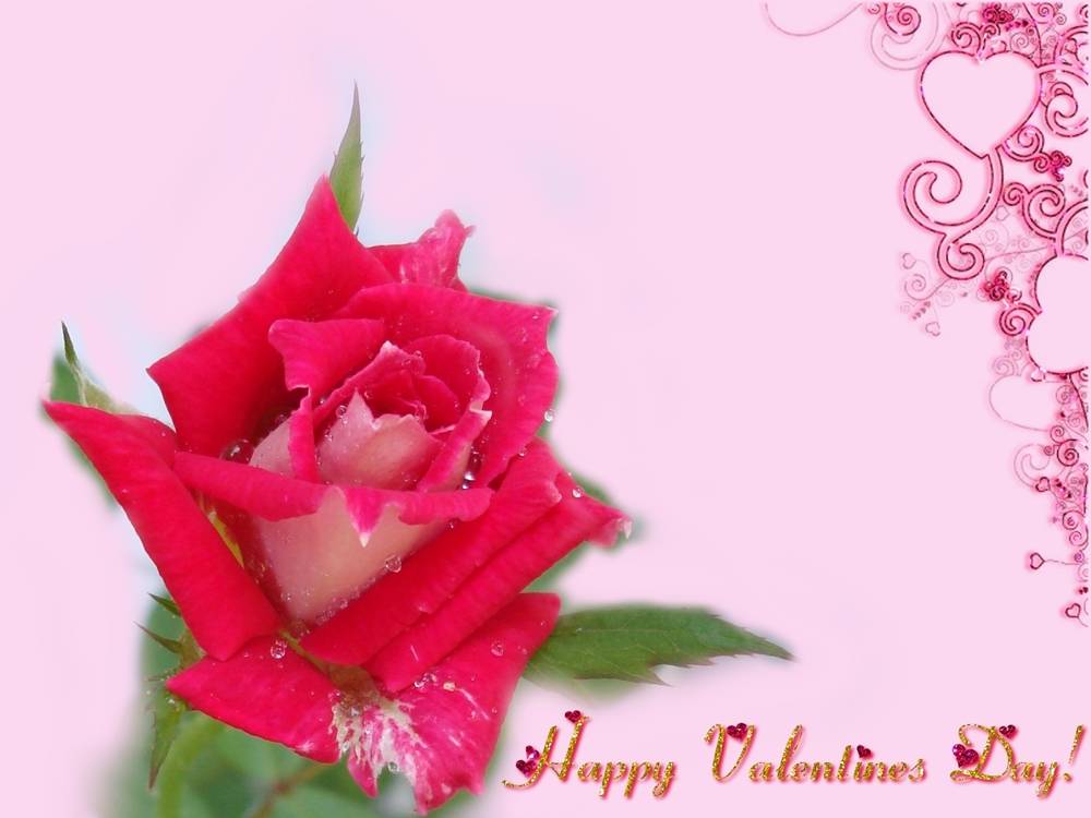 (Love&Valentine)3D-Wallpapers-Backgroundsภาพพื้นหลัง พักหน้าจอ No.8