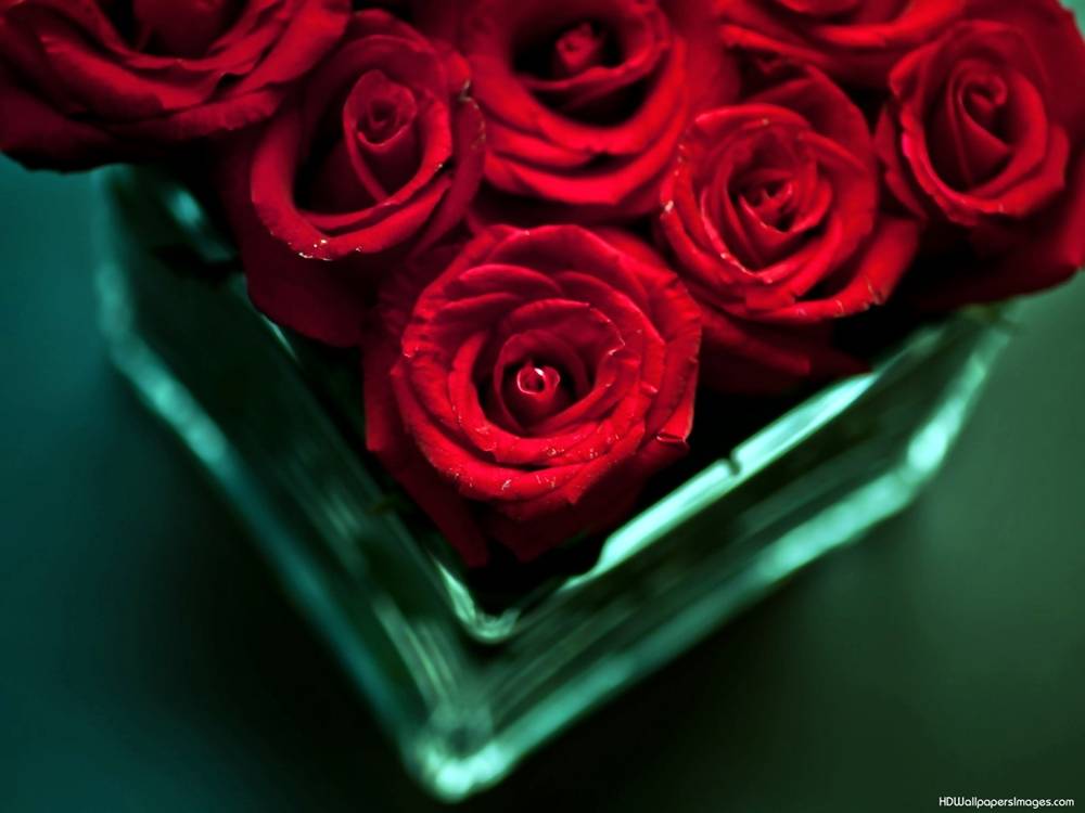 (Love&Valentine)3D-Wallpapers-Backgroundsภาพพื้นหลัง พักหน้าจอ No.9