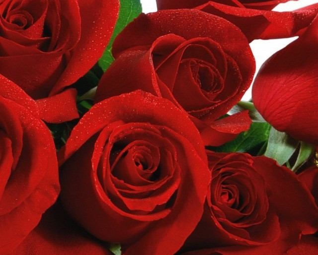(Love&Valentine)3D-Wallpapers-Backgroundsภาพพื้นหลัง พักหน้าจอ No.11