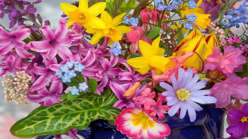 ภาพดอกไม้สวยๆ HD-3D-Wallpapers-Backgrounds (Flower)ภาพพื้นหลัง พักหน้าจอ No.1