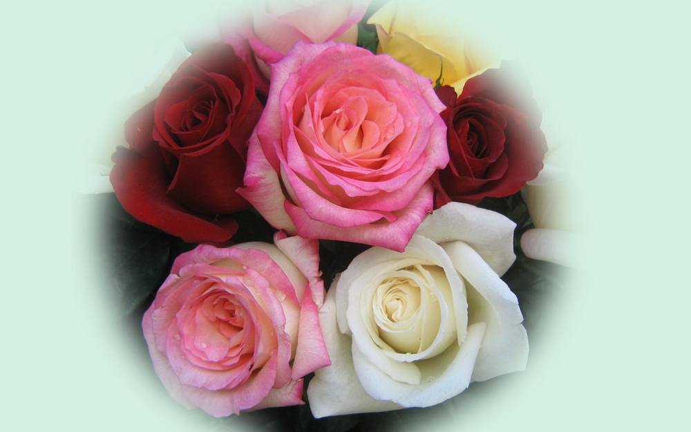 ภาพดอกไม้สวยๆ HD-3D-Wallpapers-Backgrounds (Flower)ภาพพื้นหลัง พักหน้าจอ No.2