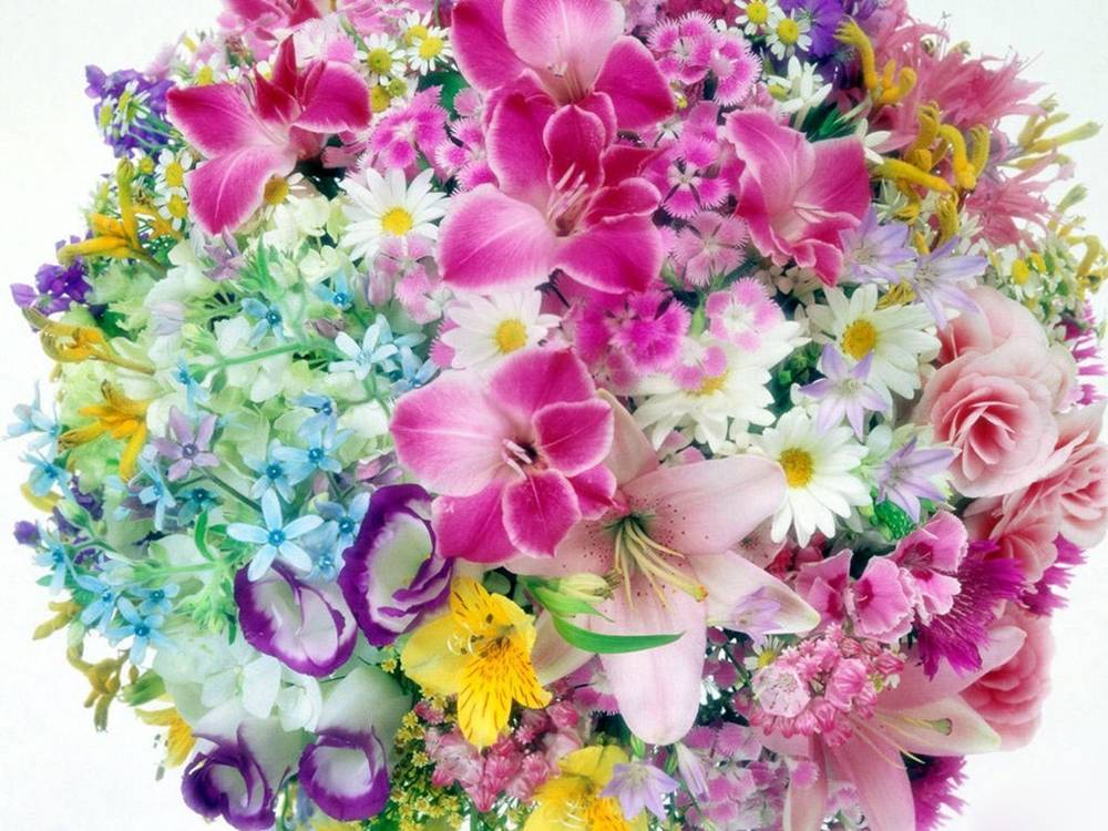 ภาพดอกไม้สวยๆ HD-3D-Wallpapers-Backgrounds (Flower)ภาพพื้นหลัง พักหน้าจอ No.2