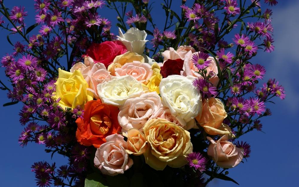 ภาพดอกไม้สวยๆ HD-3D-Wallpapers-Backgrounds (Flower)ภาพพื้นหลัง พักหน้าจอ No.3