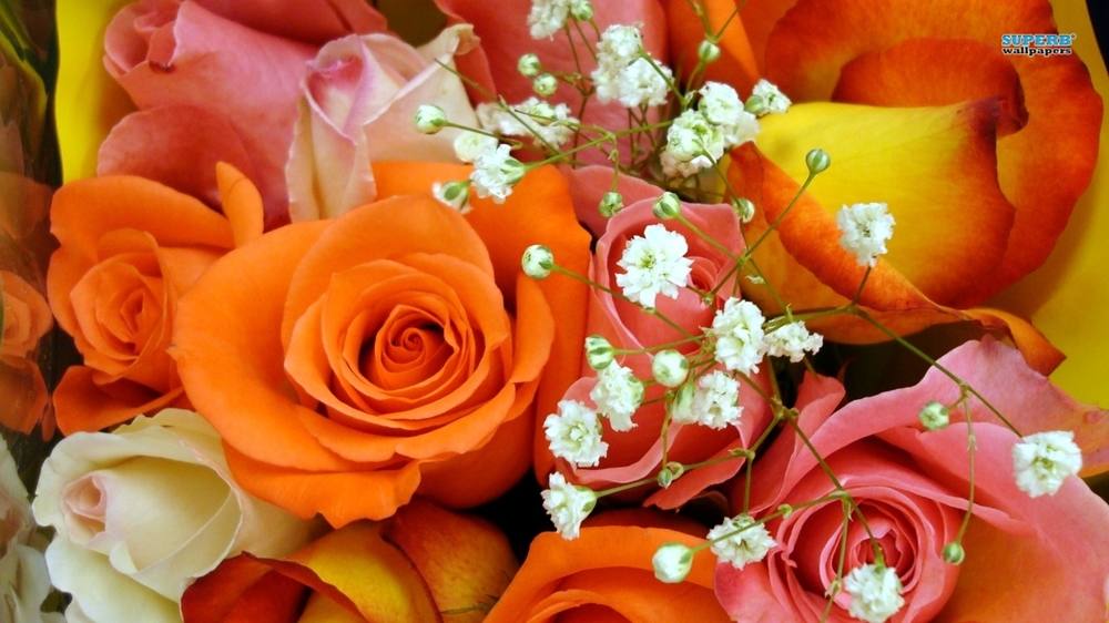 ภาพดอกไม้สวยๆ HD-3D-Wallpapers-Backgrounds (Flower)ภาพพื้นหลัง พักหน้าจอ No.3
