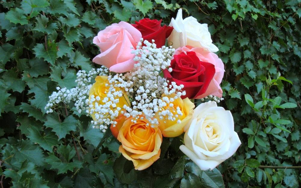 ภาพดอกไม้สวยๆ HD-3D-Wallpapers-Backgrounds (Flower)ภาพพื้นหลัง พักหน้าจอ No.3