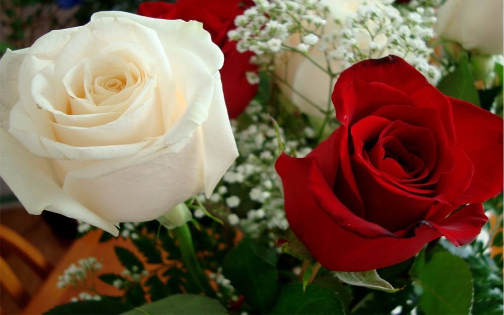 ภาพดอกไม้สวยๆ HD-3D-Wallpapers-Backgrounds (Flower)ภาพพื้นหลัง พักหน้าจอ No.3