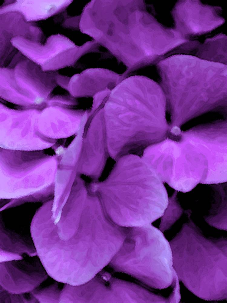 ภาพดอกไม้สวยๆ HD-3D-Wallpapers-Backgrounds (Flower)ภาพพื้นหลัง พักหน้าจอ No.4
