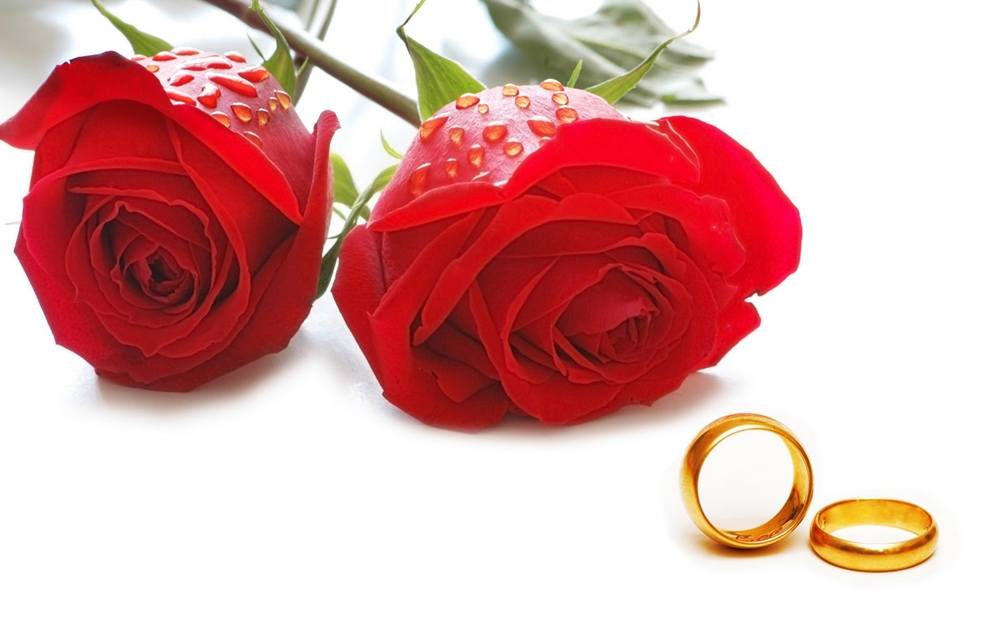 ภาพดอกไม้สวยๆ HD-3D-Wallpapers-Backgrounds (Flower)ภาพพื้นหลัง พักหน้าจอ No.4