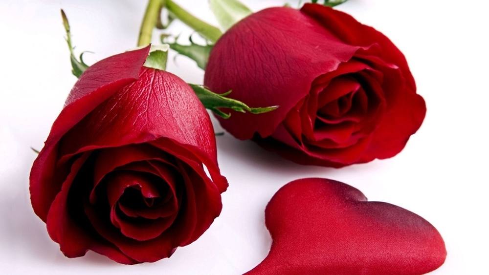 ภาพดอกไม้สวยๆ HD-3D-Wallpapers-Backgrounds (Flower)ภาพพื้นหลัง พักหน้าจอ No.9