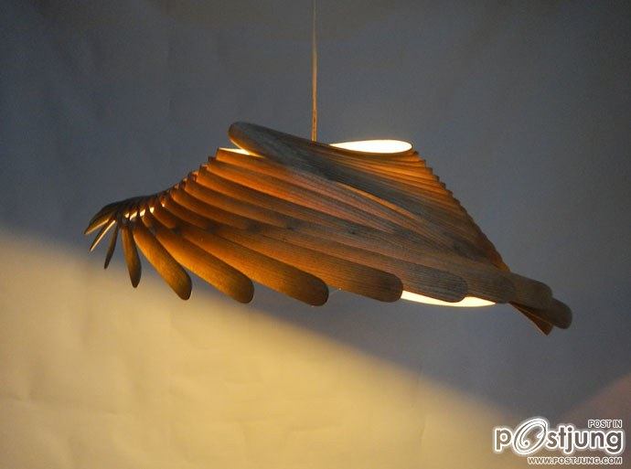 Nature Inspires Us All: Wooden Lamps by Charlie Whinney!