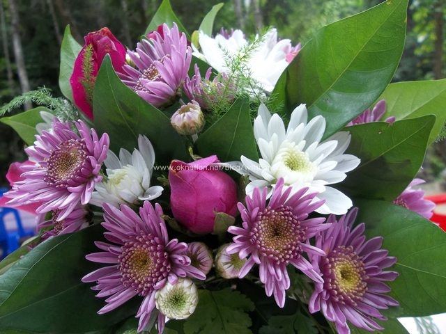 ภาพดอกไม้สวยๆ HD-3D-Wallpapers-Backgrounds (Flower)ภาพพื้นหลัง พักหน้าจอ No.10