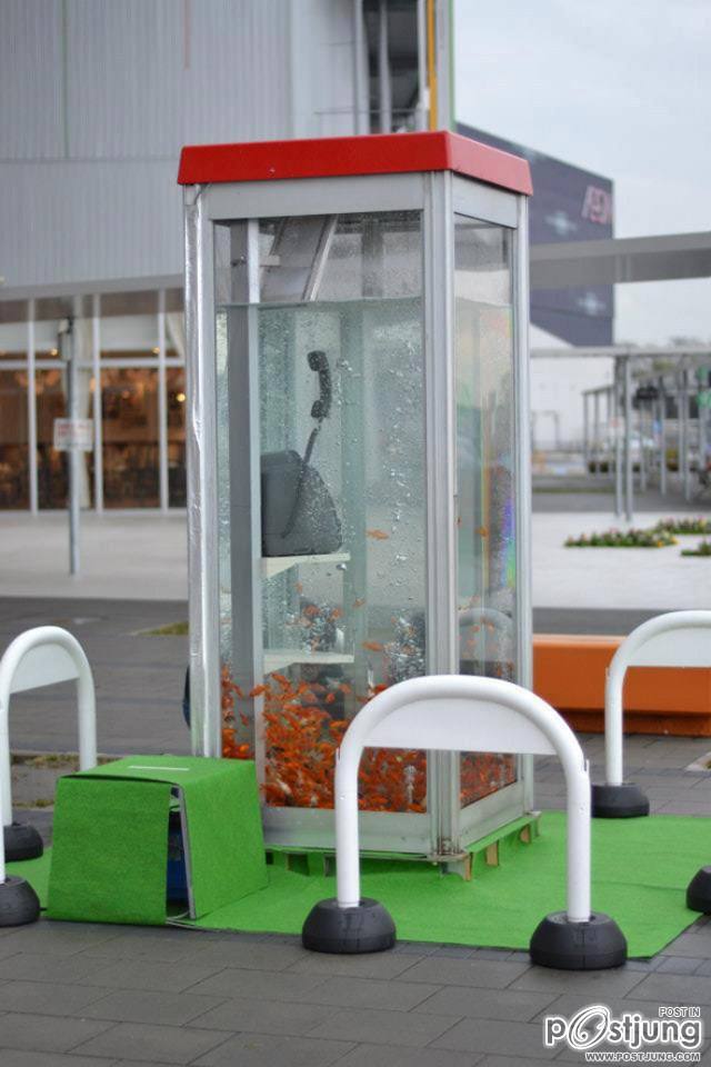Public Phone Booth Transformed Into Giant Fish Aquarium