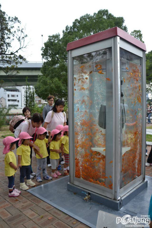 Public Phone Booth Transformed Into Giant Fish Aquarium