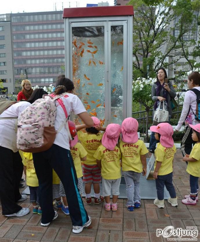 Public Phone Booth Transformed Into Giant Fish Aquarium