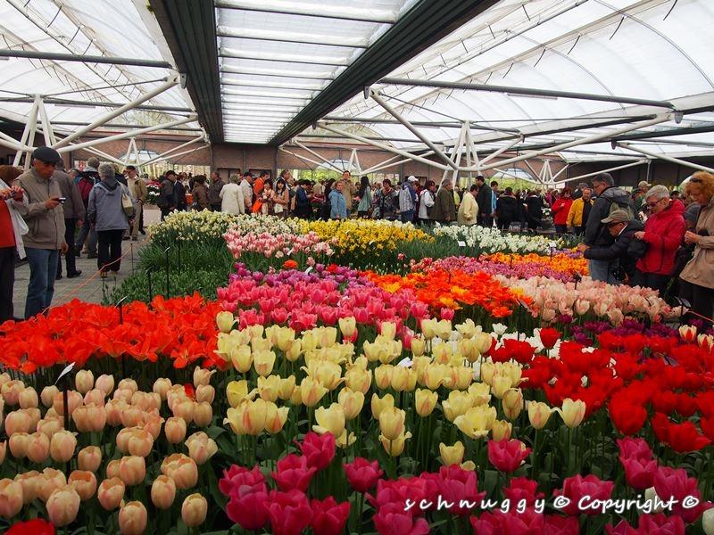 ภาพดอกไม้สวยๆ HD-3D-Wallpapers-Backgrounds (Flower)ภาพพื้นหลัง พักหน้าจอ No.12