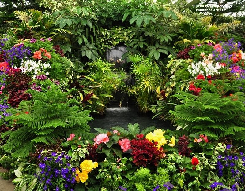 ภาพดอกไม้สวยๆ HD-3D-Wallpapers-Backgrounds (Flower)ภาพพื้นหลัง พักหน้าจอ No.16
