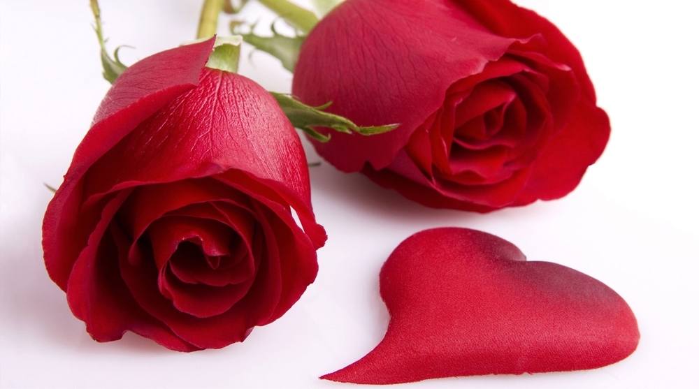 ภาพดอกไม้สวยๆ HD-3D-Wallpapers-Backgrounds (Flower)ภาพพื้นหลัง พักหน้าจอ No.22