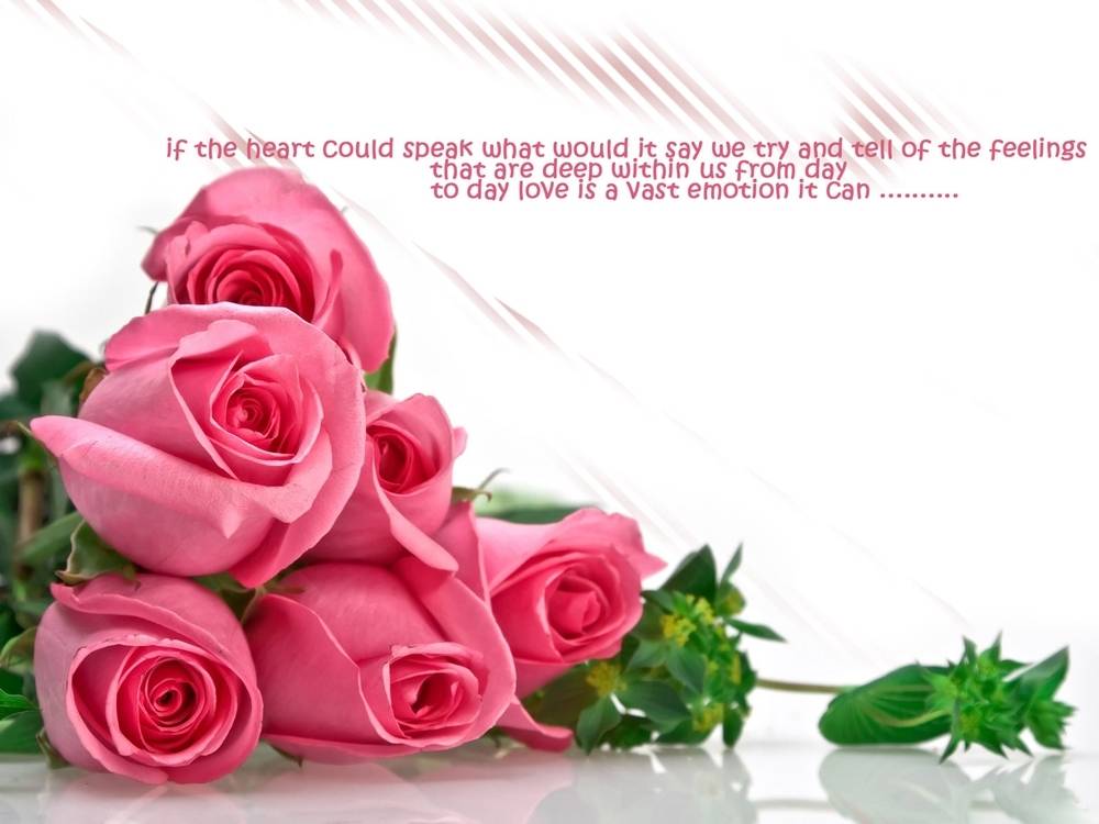 ภาพดอกไม้สวยๆ HD-3D-Wallpapers-Backgrounds (Flower)ภาพพื้นหลัง พักหน้าจอ No.22