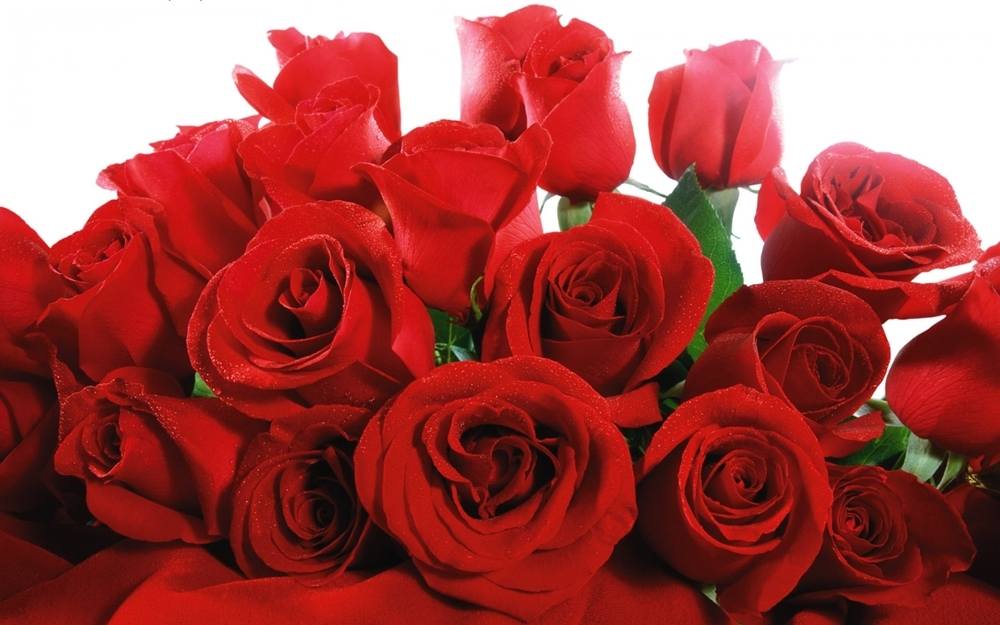 ภาพดอกไม้สวยๆ HD-3D-Wallpapers-Backgrounds (Flower)ภาพพื้นหลัง พักหน้าจอ No.25