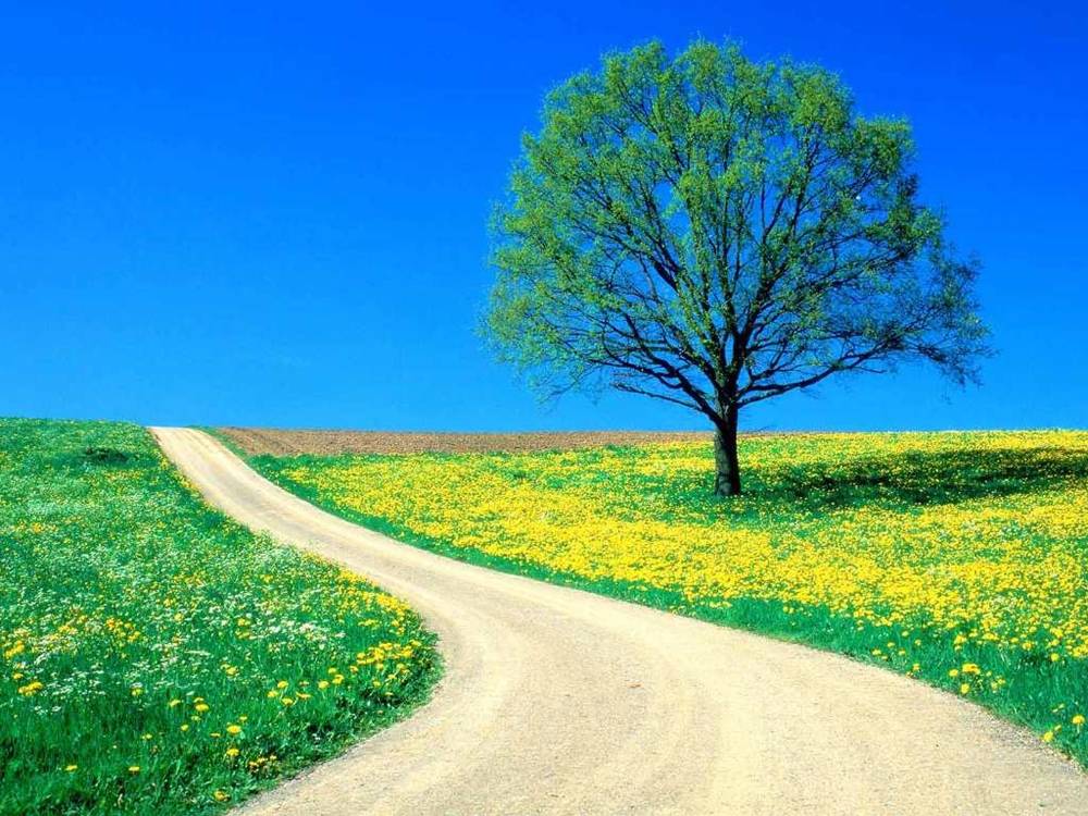 HD-3D-(Anime)-Wallpapers-Backgrounds ภาพพื้นหลัง พักหน้าจอ No.1