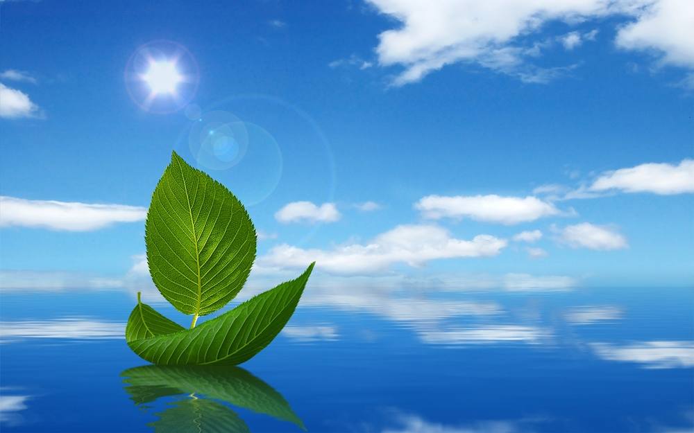 3D-HD-Wallpapers-Backgrounds (Colors)ภาพพื้นหลัง พักหน้าจอ No.1