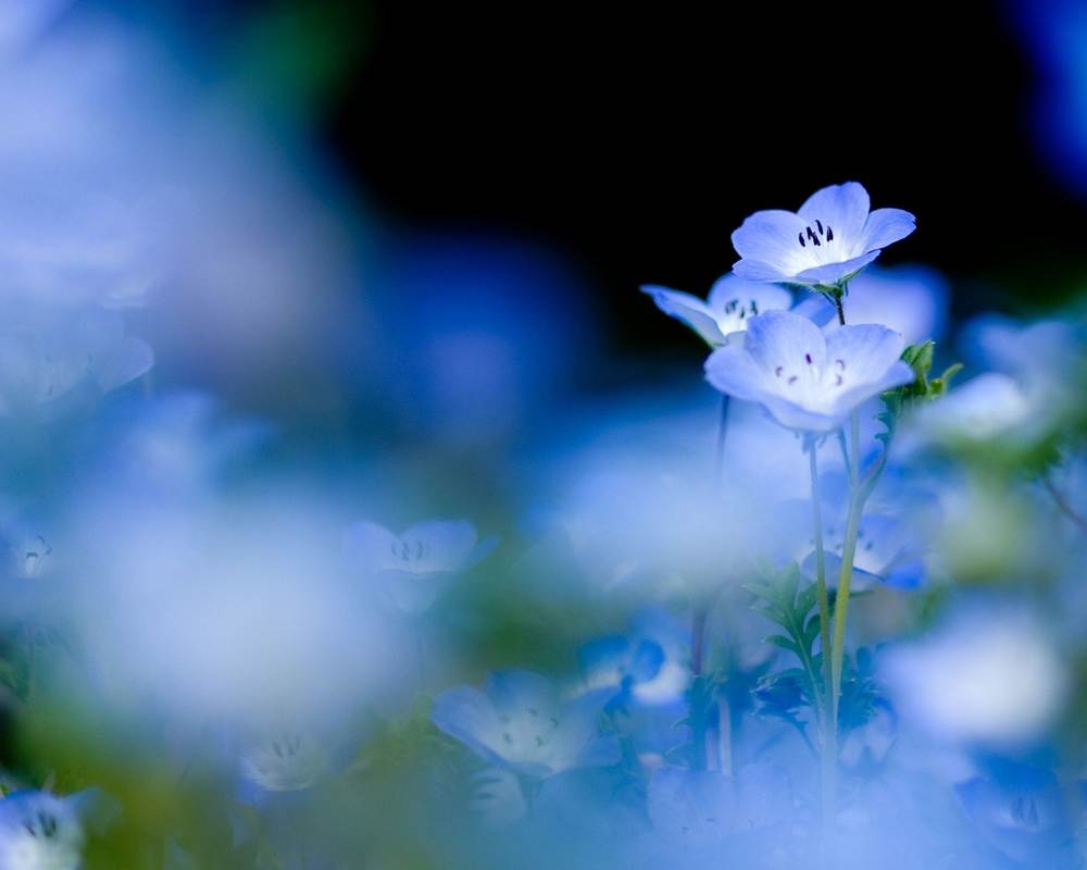 3D-HD-Wallpapers-Backgrounds (Colors)ภาพพื้นหลัง พักหน้าจอ No.1