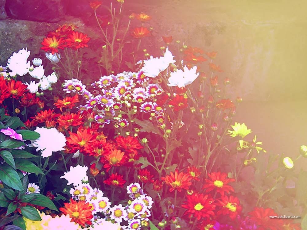 3D-HD-Wallpapers-Backgrounds (Colors)ภาพพื้นหลัง พักหน้าจอ No.2