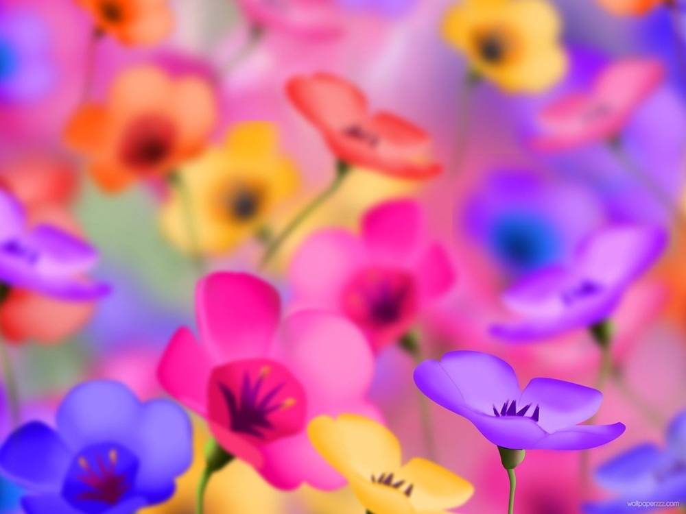 3D-HD-Wallpapers-Backgrounds (Colors)ภาพพื้นหลัง พักหน้าจอ No.2