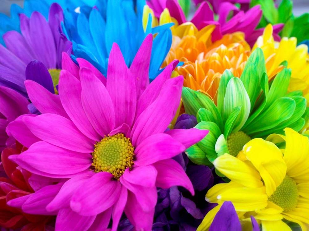 3D-HD-Wallpapers-Backgrounds (Colors)ภาพพื้นหลัง พักหน้าจอ No.2