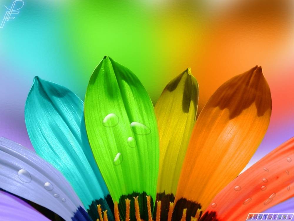 3D-HD-Wallpapers-Backgrounds (Colors)ภาพพื้นหลัง พักหน้าจอ No.2