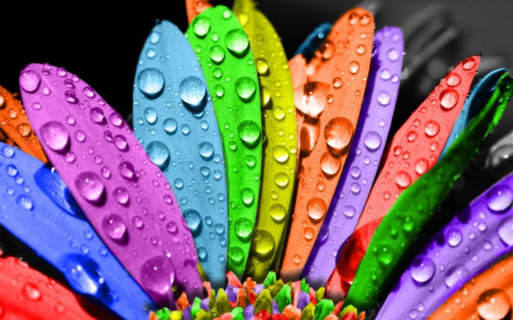 3D-HD-Wallpapers-Backgrounds (Colors)ภาพพื้นหลัง พักหน้าจอ No.2