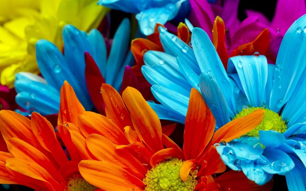 3D-HD-Wallpapers-Backgrounds (Colors)ภาพพื้นหลัง พักหน้าจอ No.2