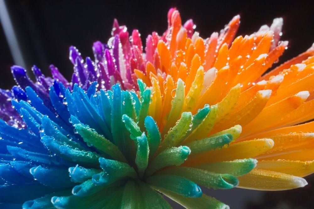 3D-HD-Wallpapers-Backgrounds (Colors)ภาพพื้นหลัง พักหน้าจอ No.2