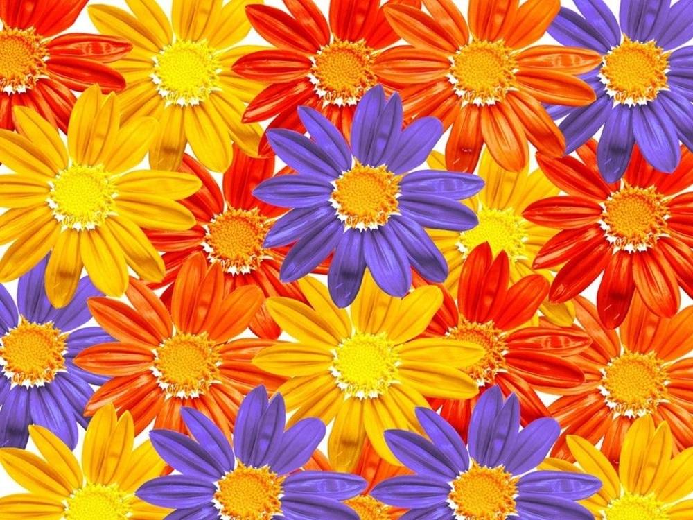 3D-HD-Wallpapers-Backgrounds (Colors)ภาพพื้นหลัง พักหน้าจอ No.2