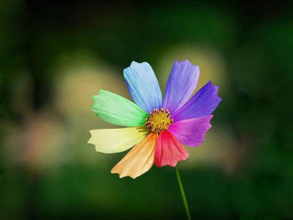 3D-HD-Wallpapers-Backgrounds (Colors)ภาพพื้นหลัง พักหน้าจอ No.2