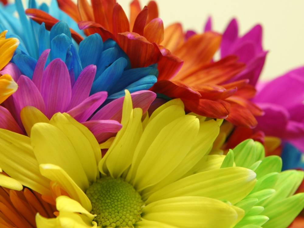 3D-HD-Wallpapers-Backgrounds (Colors)ภาพพื้นหลัง พักหน้าจอ No.2