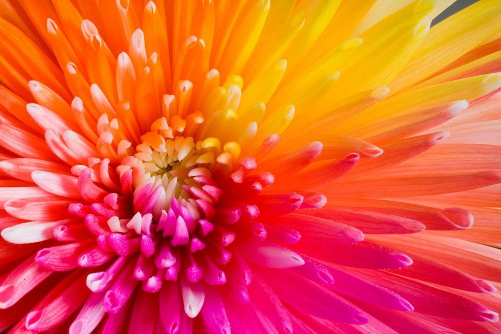 3D-HD-Wallpapers-Backgrounds (Colors)ภาพพื้นหลัง พักหน้าจอ No.2