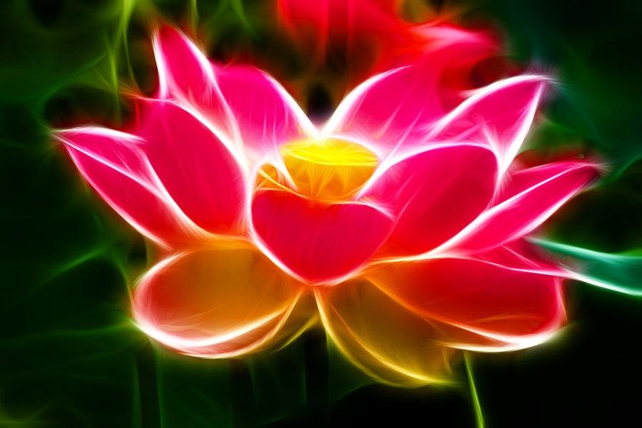 3D-HD-Wallpapers-Backgrounds (Colors)ภาพพื้นหลัง พักหน้าจอ No.2