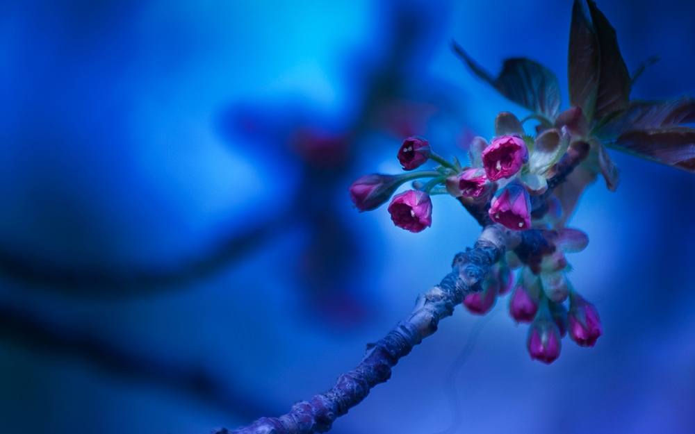 3D-HD-Wallpapers-Backgrounds (Colors)ภาพพื้นหลัง พักหน้าจอ No.2