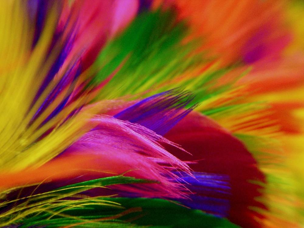 3D-HD-Wallpapers-Backgrounds (Colors)ภาพพื้นหลัง พักหน้าจอ No.3