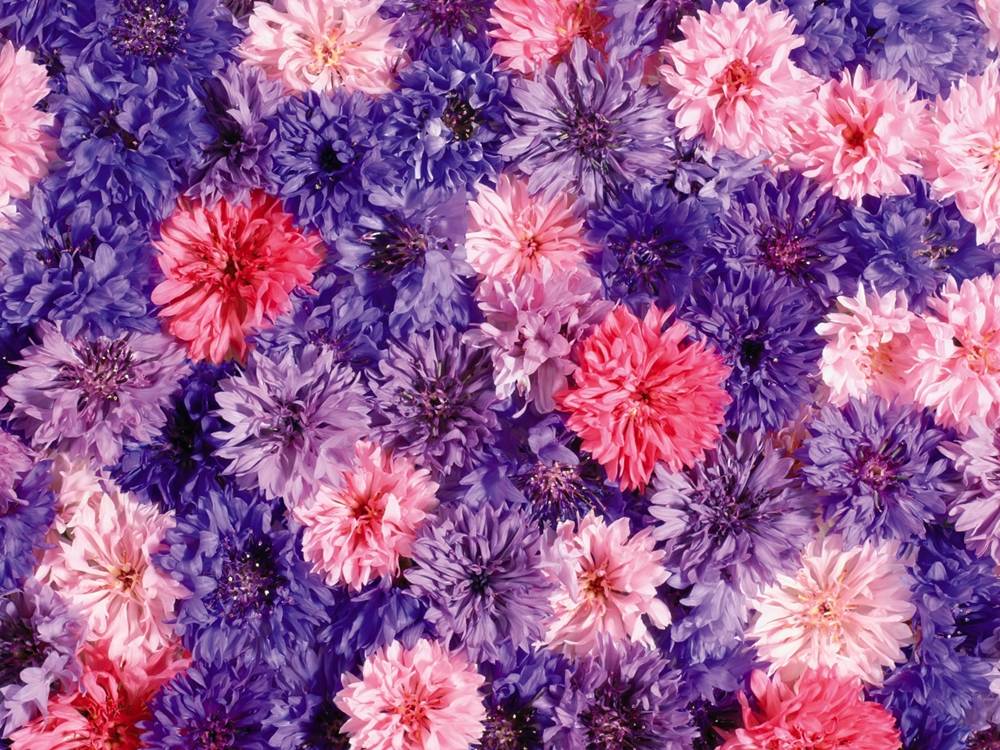 3D-HD-Wallpapers-Backgrounds (Colors)ภาพพื้นหลัง พักหน้าจอ No.3