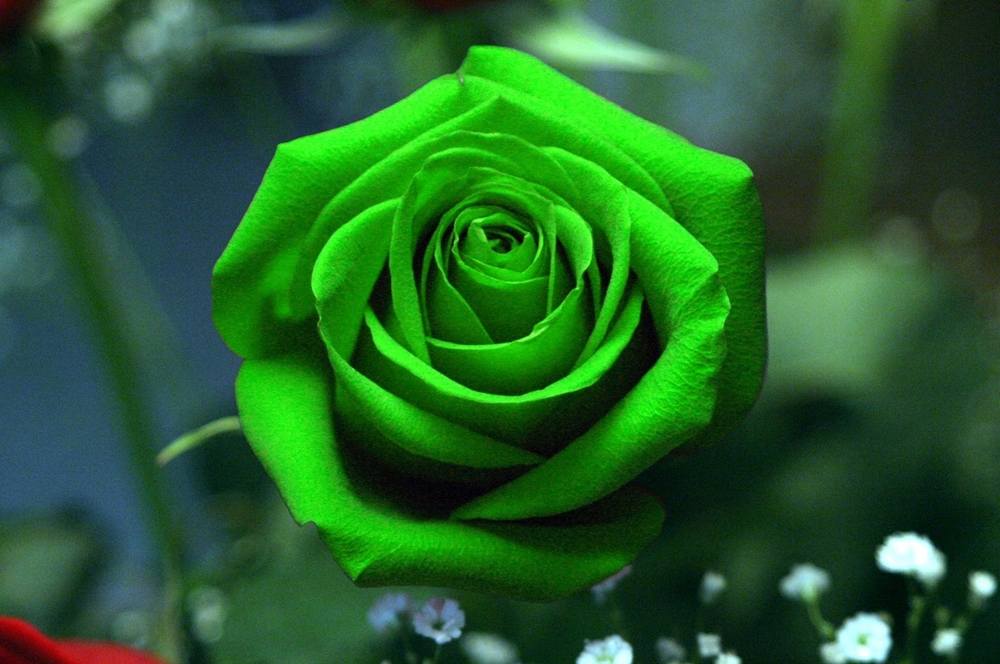 3D-HD-Wallpapers-Backgrounds (Colors)ภาพพื้นหลัง พักหน้าจอ No.4