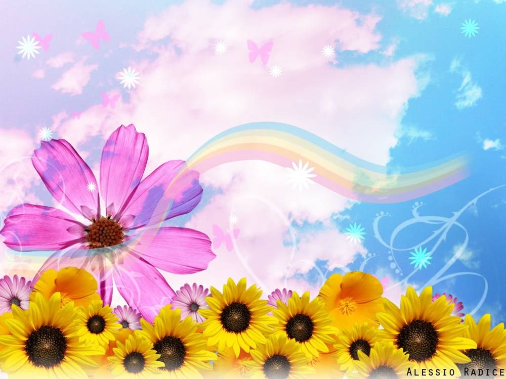3D-HD-Wallpapers-Backgrounds (Colors)ภาพพื้นหลัง พักหน้าจอ No.4