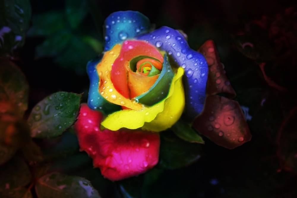 3D-HD-Wallpapers-Backgrounds (Colors)ภาพพื้นหลัง พักหน้าจอ No.4