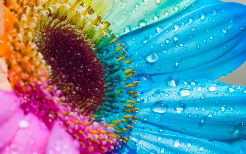 3D-HD-Wallpapers-Backgrounds (Colors)ภาพพื้นหลัง พักหน้าจอ No.5