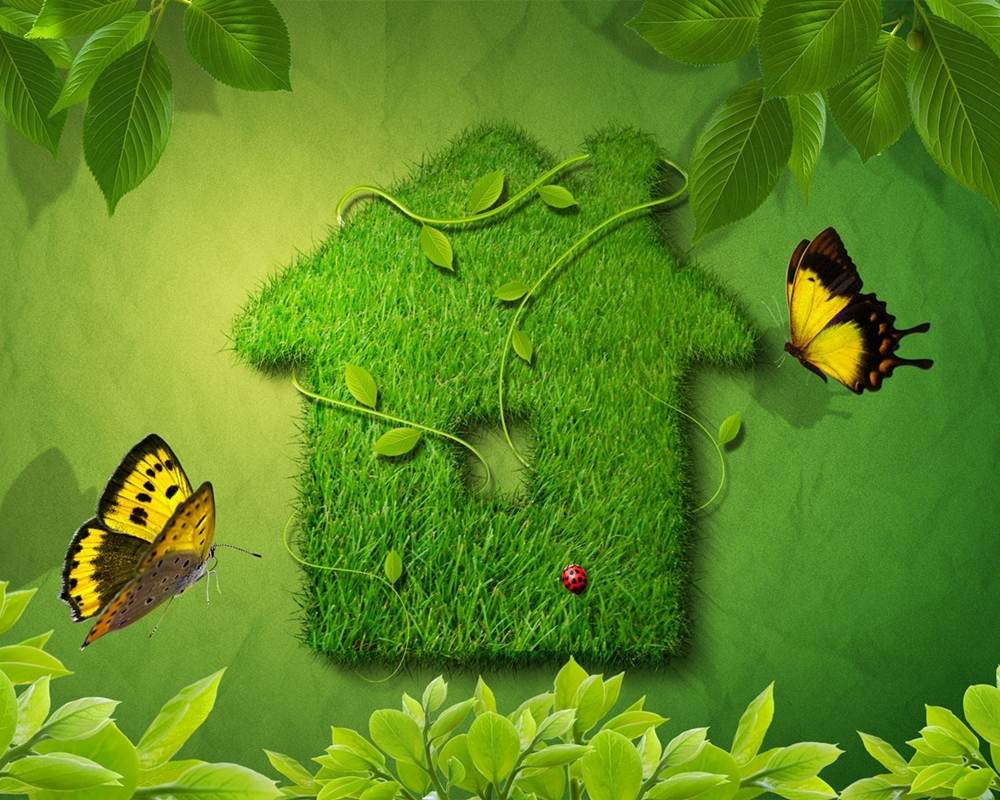 3D-HD-Wallpapers-Backgrounds (Colors)ภาพพื้นหลัง พักหน้าจอ No.6