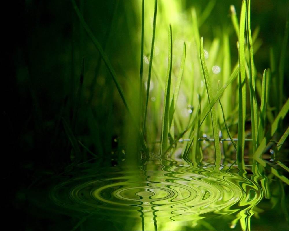 3D-HD-Wallpapers-Backgrounds (Colors)ภาพพื้นหลัง พักหน้าจอ No.6