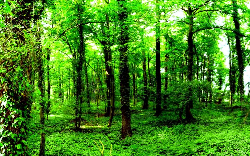 3D-HD-Wallpapers-Backgrounds (Colors)ภาพพื้นหลัง พักหน้าจอ No.6